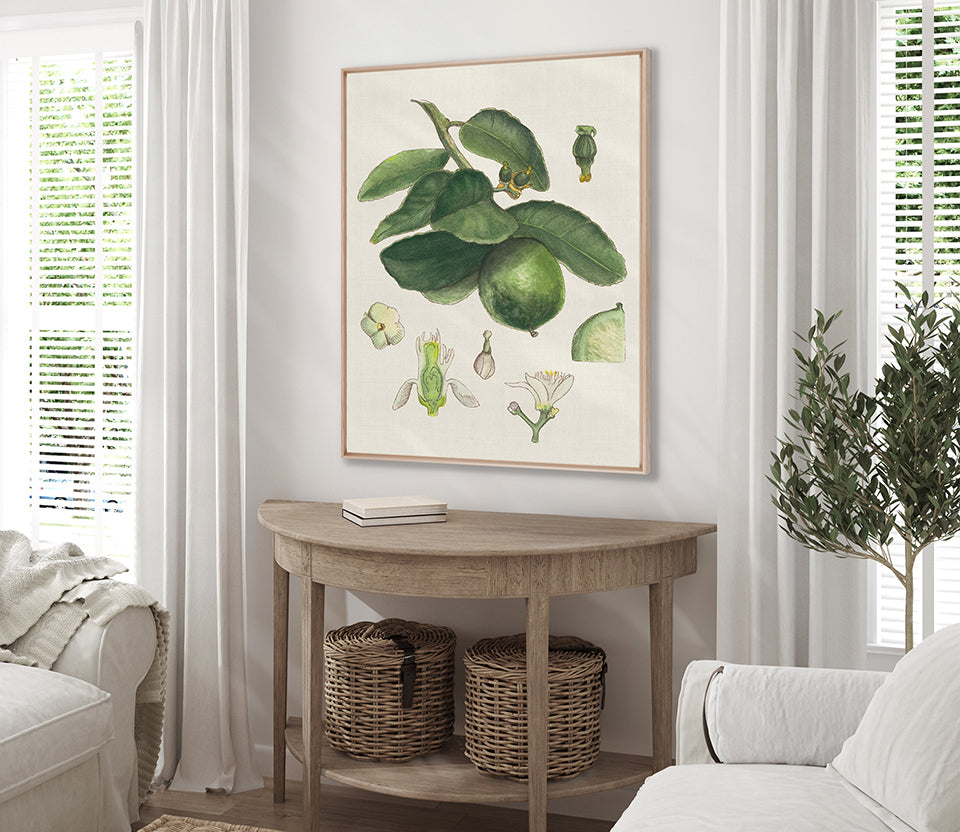 Classic Botanical Study IV Framed Canvas Art | Designer Boys